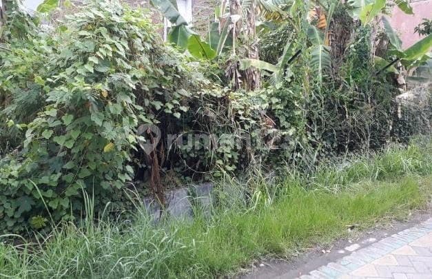 Dijual Tanah Semampir Tengah, Sukolilo, Surabaya Timur