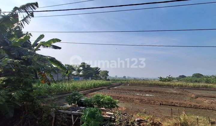 Industrial Land for Rent in Manyar Gresik, Near Jiipe Industrial Land for Rent in Manyar Gresik, Near Jiipe