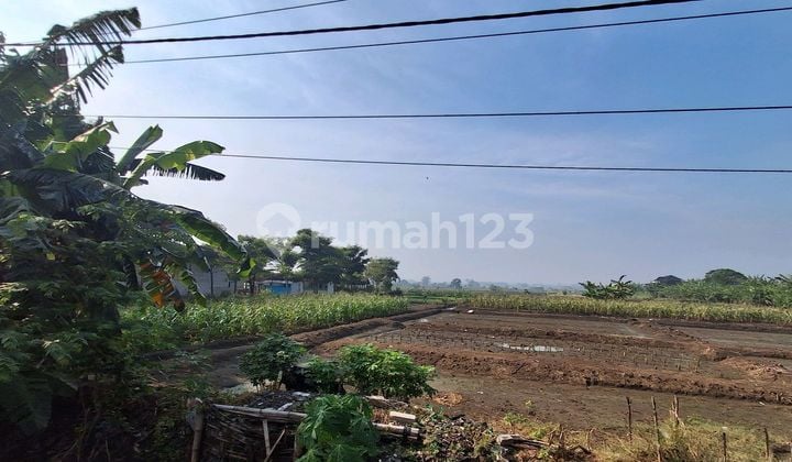 Industrial Land for Rent in Manyar Gresik, Near Jiipe