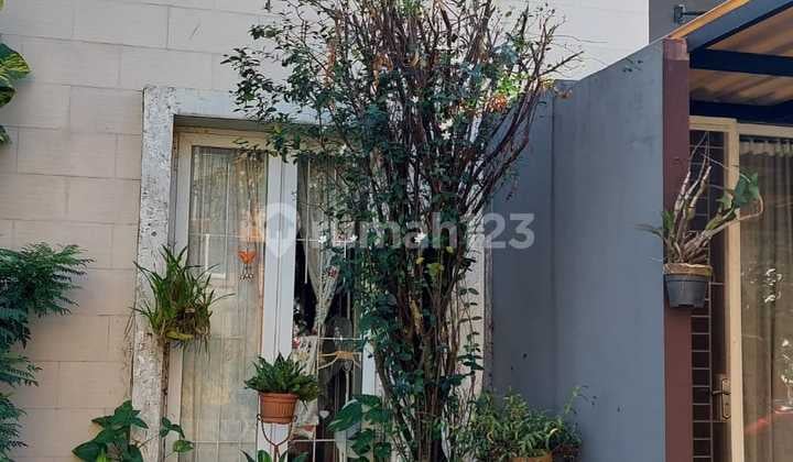 Dijual Rumah Cantik Lokasi Strategis di Paragon Residence Bsd