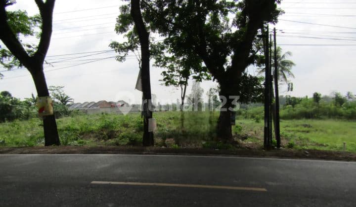 Dijual Tanah Luas Cocok Untuk Usaha Lokasi Di Banjar Agung, Lampung