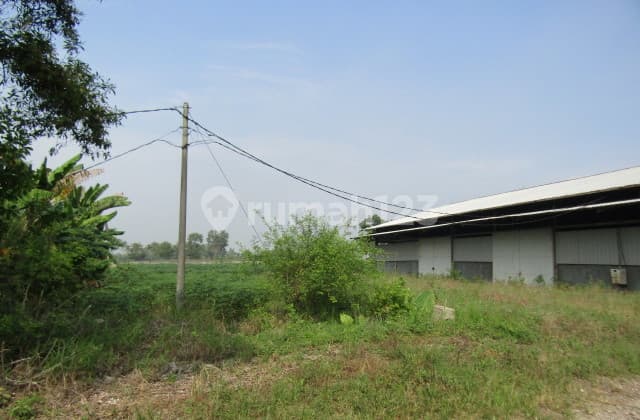 Dijual Tanah Beserta Bangunan Lokasi Di Jl, Lintas Sumatra, Gunung Sugih, Lampung Tengah