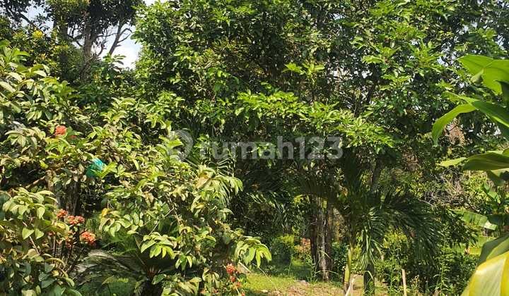 Tanah Kebun 3.4 Ha Hambalang Sentul Cocok untuk Tempat Retreat, Usaha dan Perkebunan