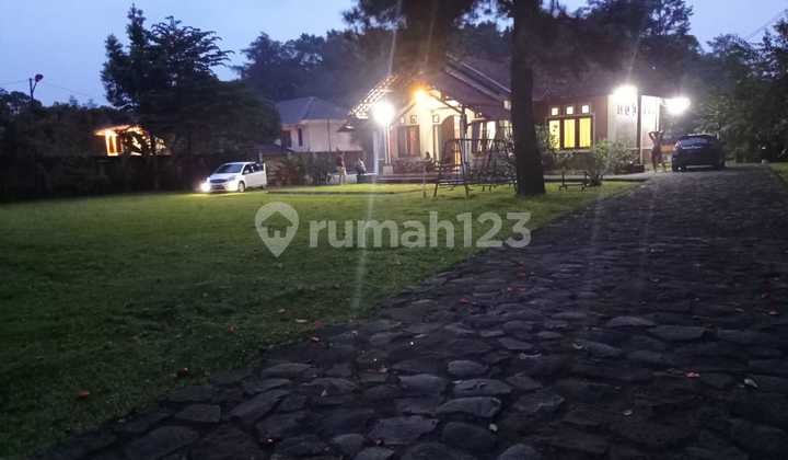 For Sale: Spacious and Lush Villa in Mega Mendung, Puncak, Negotiable.