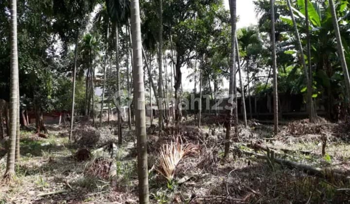 Tanah Untuk Dibangun Belasan Ruman Di Pondok Kelapa Shm 1498 M²