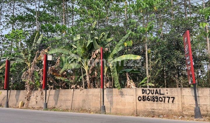 Tanah di Legok 3815 M2 HGB