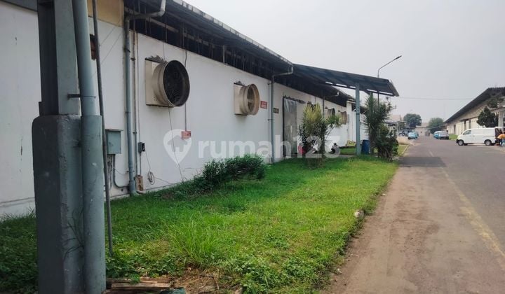Gudang Disewakan Di CIKOKOL