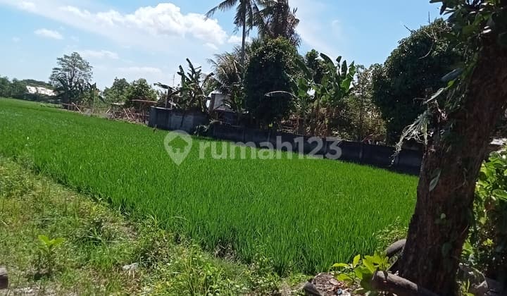 Di jual tanah ada sawahnya area Kediri ,pinggir jalan lokasi strategis,Kediri lombok barat