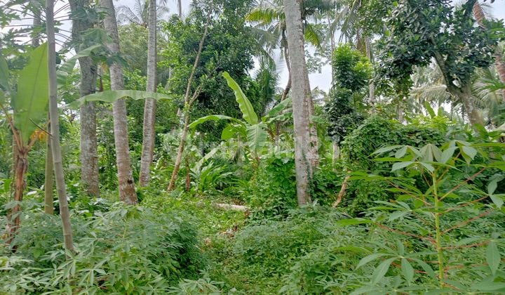 Dijual Tanah Lokasi Dekat Pelabuhan Lembar.dekat ke Pantai Cemara
