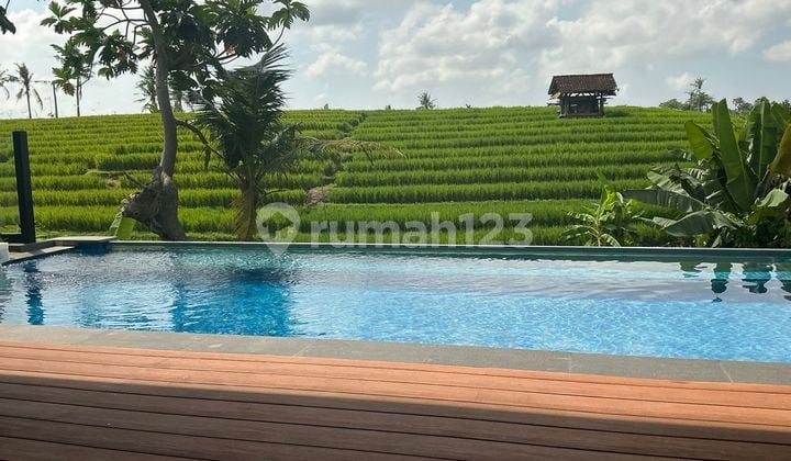 Modern Villa Dalam Kompleks Di Canggu Area