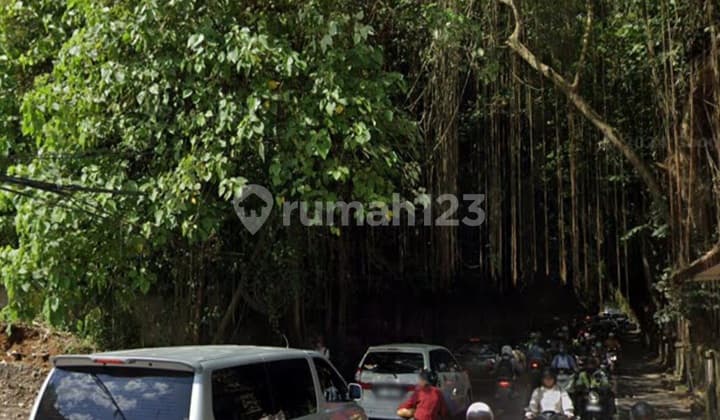 Disewakan Tanah Murah di Central Ubud. Lt 4.300M2. Harga 40 Juta Per Are Per Tahun Nego