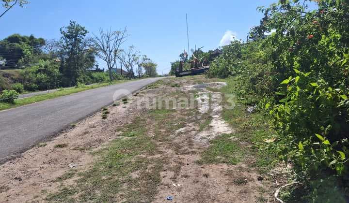 For Rent Cheap Land In Pandawa. Lot 1 Hectare. Price 17 Million Per Are Per Year.