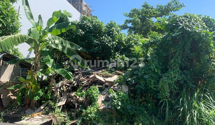 Disewakan Tanah Murah di Kuta. Lt 3.225M2. Harga 28 Juta Per Are Per Tahun