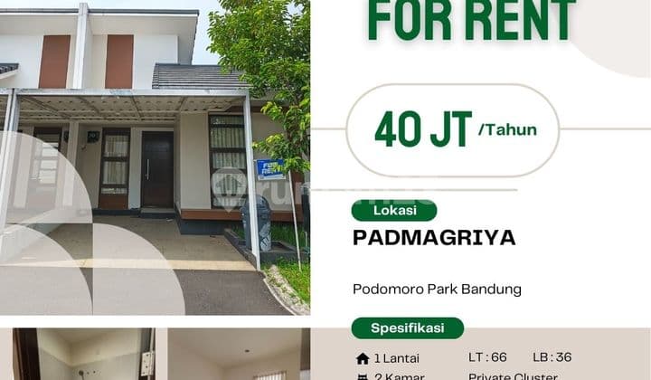 Sewa Rumah Murah 1 Lantai Podomoro Park Klaster Padmagriya