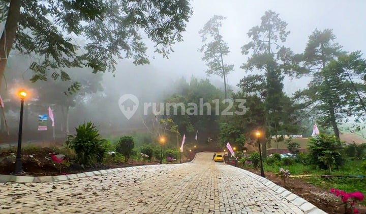 BISNIS TANAH MURAH DI PUNCAK UNTUK PERKEBUNAN