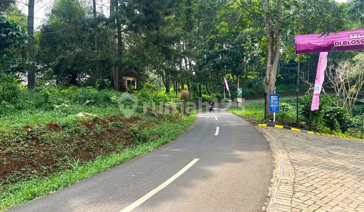 KAVLING VILLA WISATA PUNCAK GRATIS LOGAM MULIA