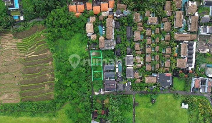 Tanah Plot Kecil Ubud Lodtunduh Zona Pink Lingkungan Villa
