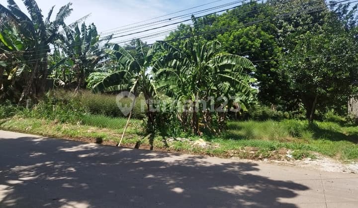 Tanah di Tajur Halang SHM 2911.0 M² Siap Bangun Dekat Akses Tol