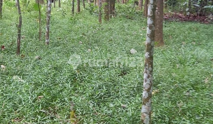 Tanah 7540 M² Di Cibening Purwakarta Shm