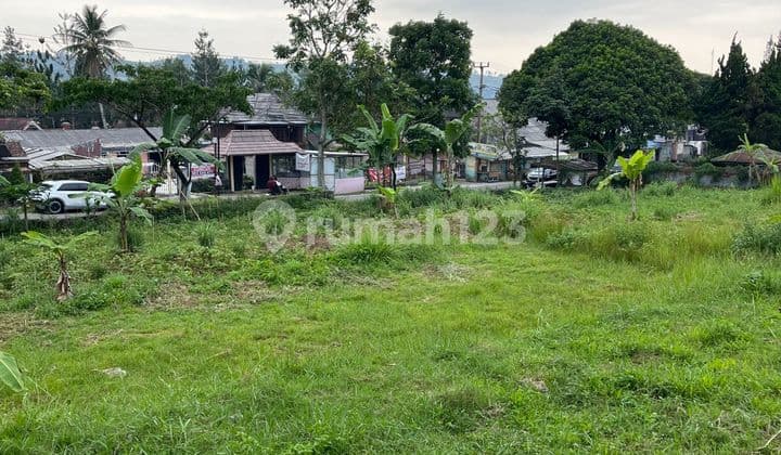 Tanah Cocok Untuk Vila, Resort, Usaha Di Cipanas Luas 3257 M² Shm