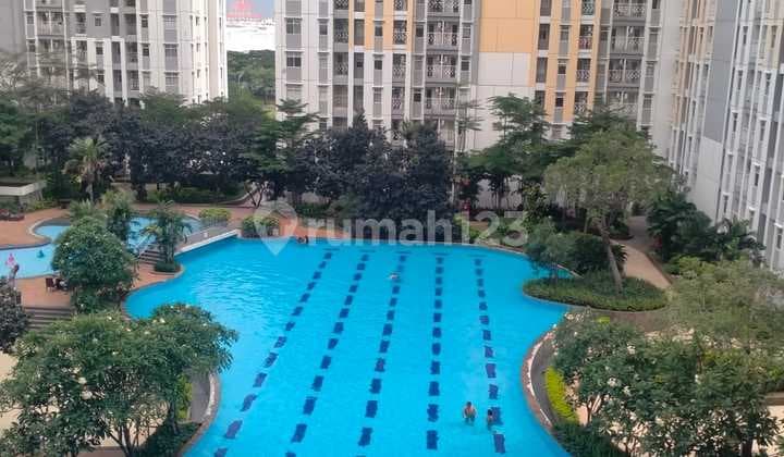 Apartemen Basella Furnished Springlake Summarecon View Pool