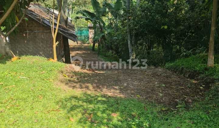 Dijual Cepat B.u Harga Dari 6.6 Sekarang Jadi 3.8 M