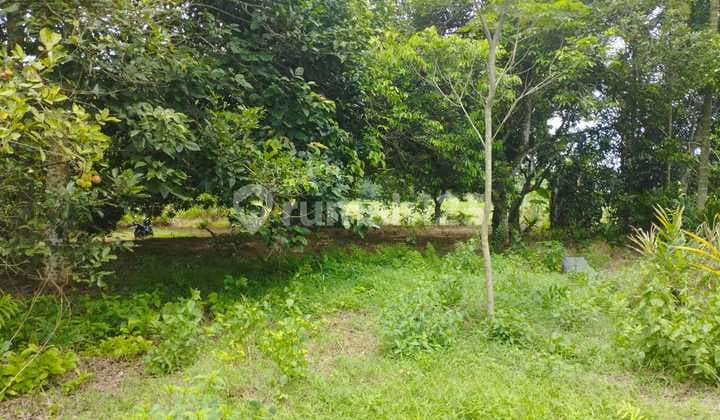 Tanah Luas Selangkah Menuju Harvest City di Ragemanunggal Setu Bekasi