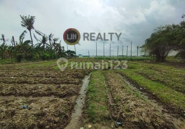 Dijual Tanah Luas di Sukamekar Sukawangi Bekasi