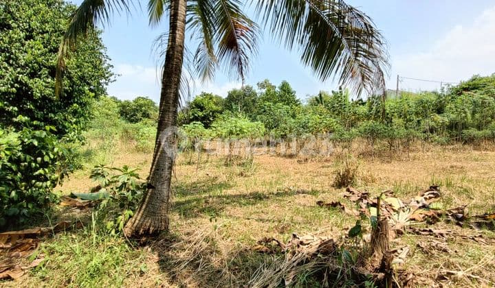 Dijual Tanah Di Pondok Rajek Cibinong