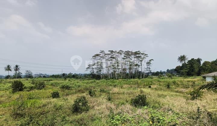 For Sale: Cheap Industrial Land in Cidahu Sukabumi