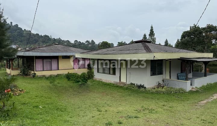 Dijual Villa Di Ciloto Cipanas