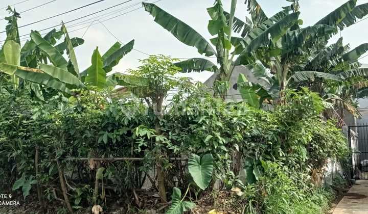 Tanah Hook di Baranangsiang Indah Bogor Timur