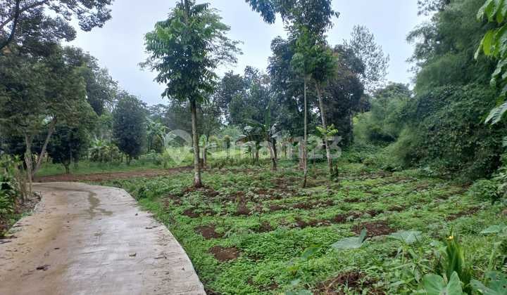 Dijual Kavling Lokasi Gadog Gunung Geulis Cisarua