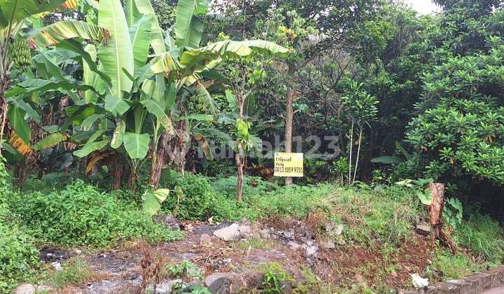 Dijual kavling di Desa Panagarsari Parung