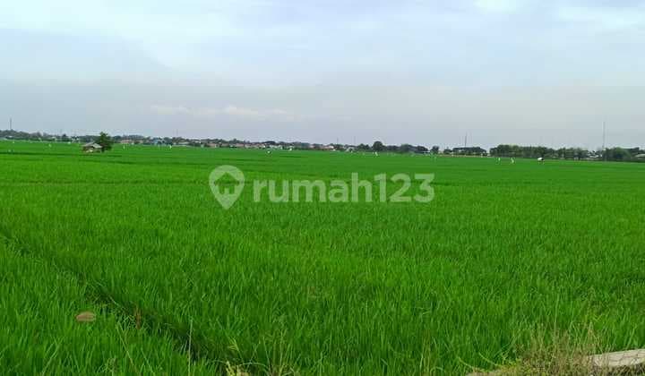 Tanah 3.815 m² Cocok Untuk Investasi Karawang Barat, Karawang