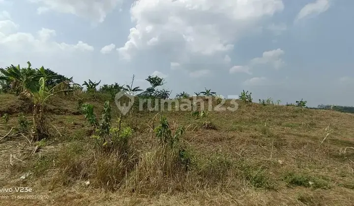 Tanah Komersil 450.000 m² Cocok Untuk Gudang Cikampek, Karawang