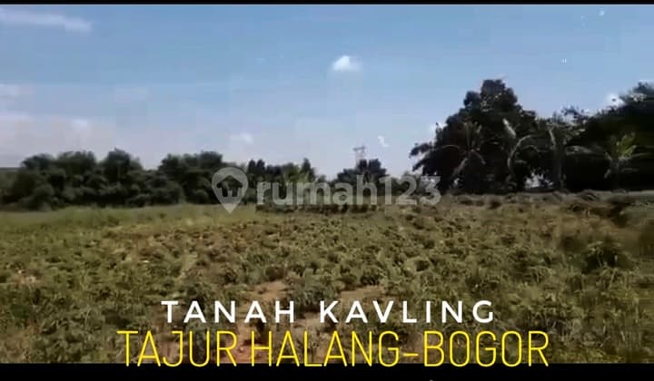 Dijual Tanah Tajur Halang 900m Dari Bakal Akses Tol Bojonggede Cocok Utk Developer Yt