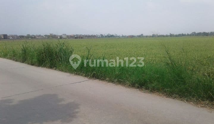 Tanah komersil buat perumahan di Jl pasirwangi ciganitri kabupaten bandung