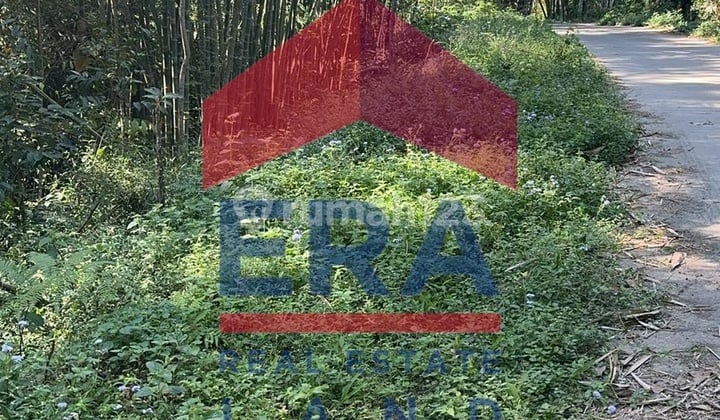 Land 30000 m2 SHM Babadan Street, Ngajum, Malang