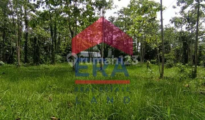 Land at Jl. K.h Malik, Malang, SHM 2,258 m²