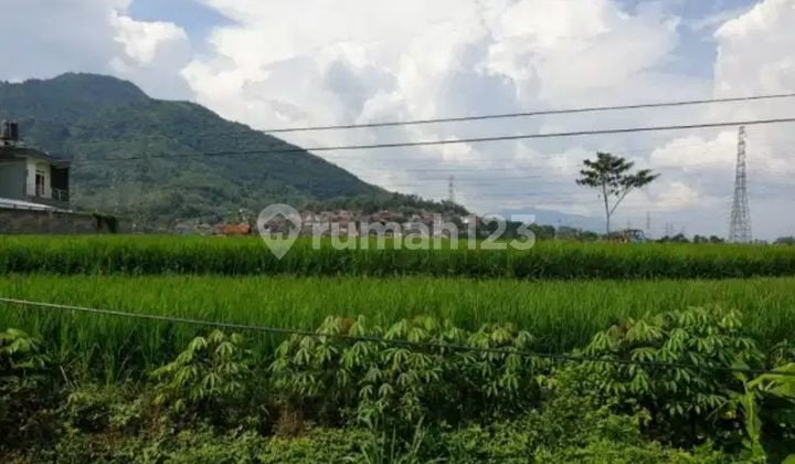 DIJUAL TANAH SAWAH STRATEGIS PINGGIR JALAN BESAR DI JATINANGOR