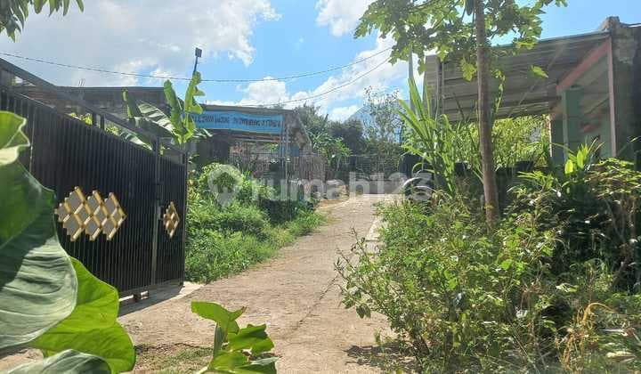 Dijual Tanah Kavling Kebun Pohon Jati Di Cibiru Kodya Bandung