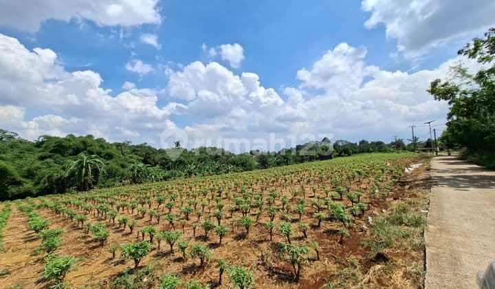 Tanah Murah Siap Bangun,Strategis di Tajur Bogor