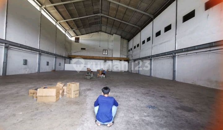 D Sewa Gudang Peternakan