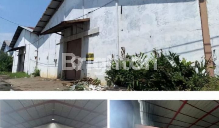 Surya Inti Tambak Sawah Warehouse Surya Inti Tambak Sawah Warehouse