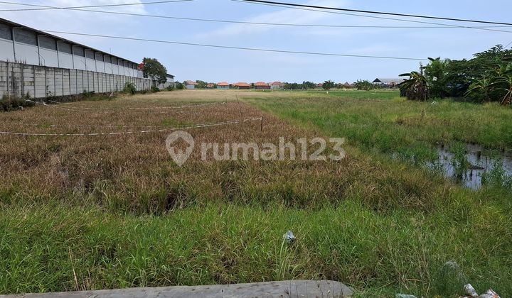 Dijual Tanah Lokasi Strategis Tepi Jalan Pantura Di Losari Cirebon