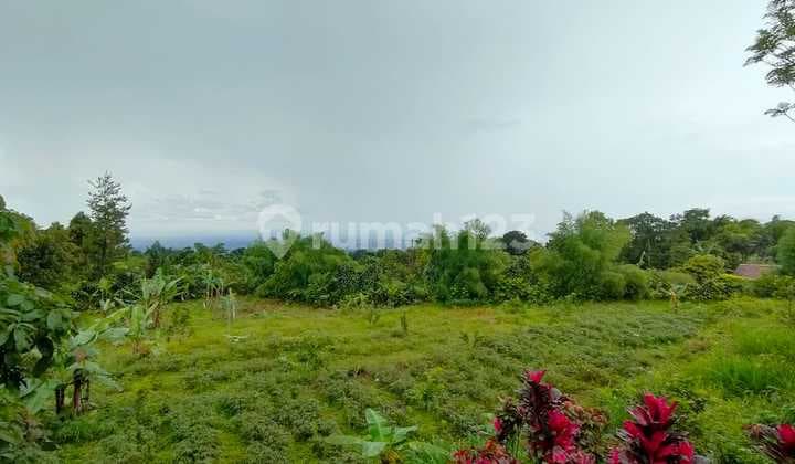 Murah Turun Harga! Tanah Murah Bogor Selatan 7,5 Ha View Gunung Cocok Villa & Glamping Harga Jauh di Bawah Pasar