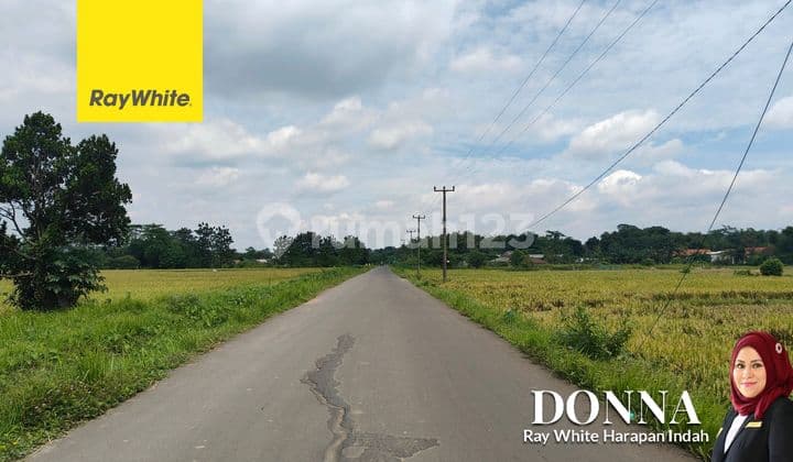 Tanah Sawah Murah Luas 1 Hektar Di Cibarusah, Cikarang