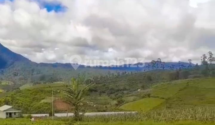 Dijual Tanah Kebun di Mekar Wangi Sindangkerta Kab Bandung Barat