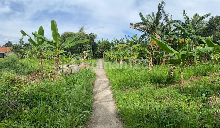 Kavling Siap Bangun, Lokasi Strategis dan Cocok Untuk mini Cluster @Ciracas, Jak - Tim